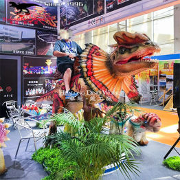 Interactive products - customized (Dragon riding)